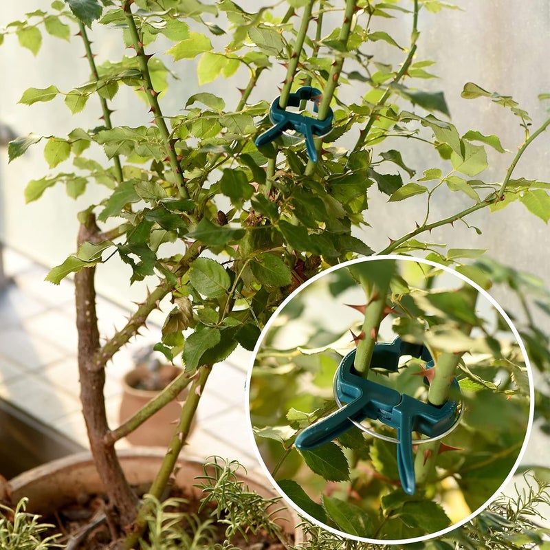 PERSZEN Plant Support Clips, 120 PCS Gentle Flower Plant Clamps for Supporting Vine Climbing Plants, Gardening Lever Loop Gripper Clips Help Stems Vines Grow Straight Upright, 2 Sizes in one Pack - Image 5